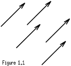 (Fig 1.1) Picture of parallel arrows